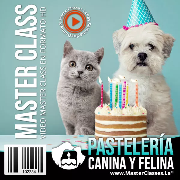 Perro y gato junto a una torta de cumpleaños